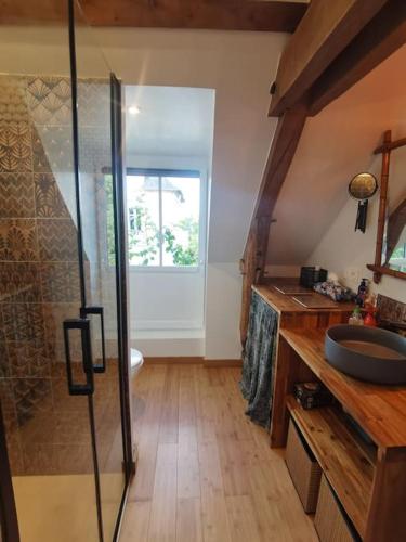 La salle de bains est pourvue d'un lavabo et d'une douche. dans l'établissement Amalouyse Gîte de charme duplex 4 personnes en bord de Loire, à Montlouis-sur-Loire