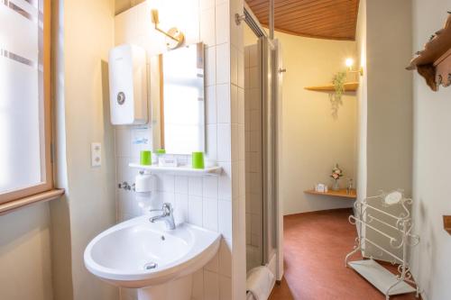 ein Bad mit einem Waschbecken und einem Spiegel in der Unterkunft Hotel Jagdschloss Letzlingen in Letzlingen