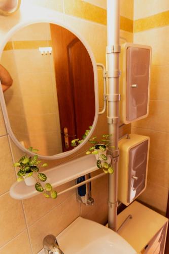 a bathroom with a toilet with a round mirror at Villa de N.A.P.E in Hanioti