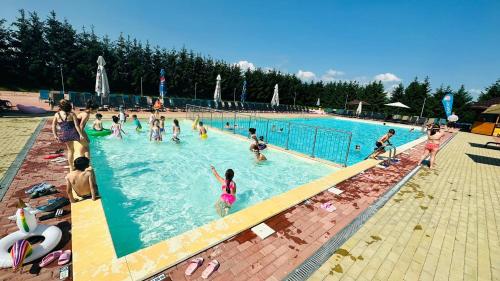un grupo de personas en una piscina en Complex Panicel, en Râșnov