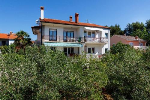 Apartmani BRAUT-Studio-ANDREA 1 with beautiful sea view