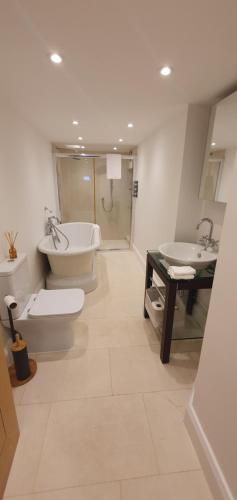 La salle de bains est pourvue de 2 toilettes, d'un lavabo et d'une douche. dans l'établissement Garden flat, à Bath
