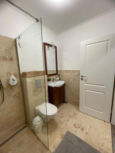 Un baño con inodoro, ducha y lavabo. en Apartament CETATE ALBA CAROLINA, en Alba Iulia