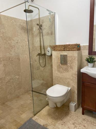 a bathroom with a shower with a toilet and a sink at Apartament CETATE ALBA CAROLINA in Alba Iulia