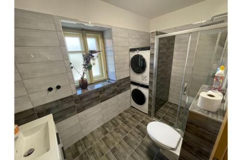 a bathroom with a shower and a toilet and a sink at Apartmán Borovanské baroko in Borovany