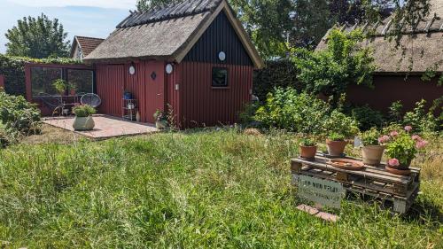 a red barn with plants in a yard at Under Valnødden in Stubbekøbing