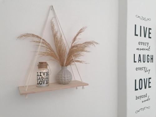 a shelf with a plant in a vase on a wall at Eleni Dream Village in Parikia