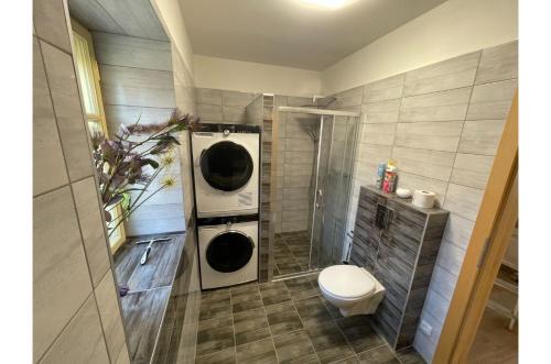a bathroom with a washing machine and a toilet at Apartmán Borovanské baroko in Borovany