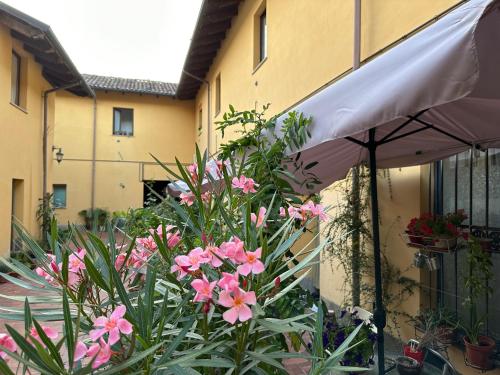 a bunch of pink flowers in front of a building at Novi apartment in Novi Ligure