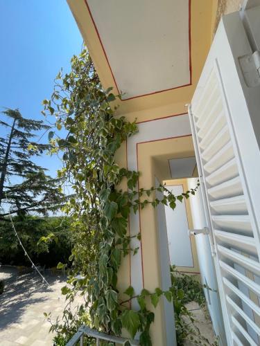Regia Domus Borgo Sette Torri – Photos 2
