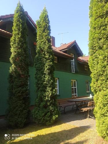 a green house with a picnic table between two trees at Zielony Zakątek nad Jeziorem in Danowskie