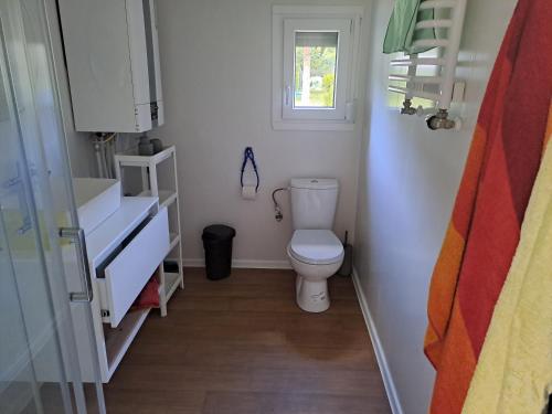 a small bathroom with a toilet and a window at Haus Zander in Lohmen