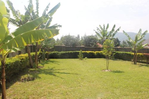 a garden with trees and grass and a building at BLT Residence - Kasese A serene and tranquil home in Kasese