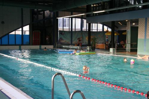 a group of people swimming in a swimming pool at Chalet Zeester J38 Ameland in Buren