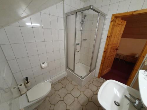 a bathroom with a shower and a toilet and a sink at Feriendorf Fuchsberg in Schirgiswalde