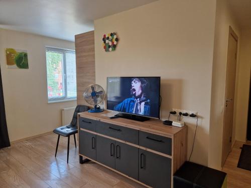 a living room with a television on a dresser at VIN service Dzelzcelnieku street 19 in Rēzekne