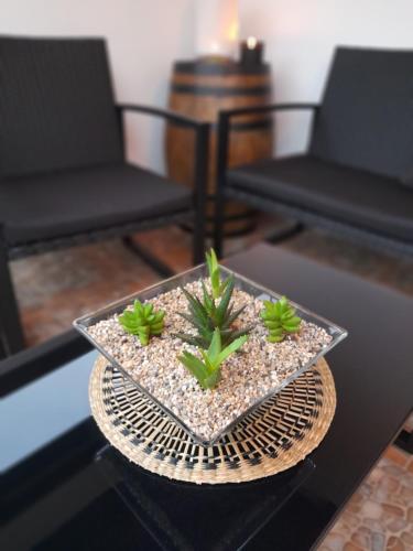 a glass bowl with four plants on a table at LA CASA 44, con Spa opcional in Sariego