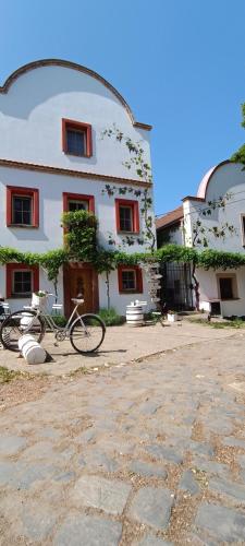 a building with a bike parked in front of it at Vinný Tunel - Květinový pokoj se soukromou terasou in Pouzdřany