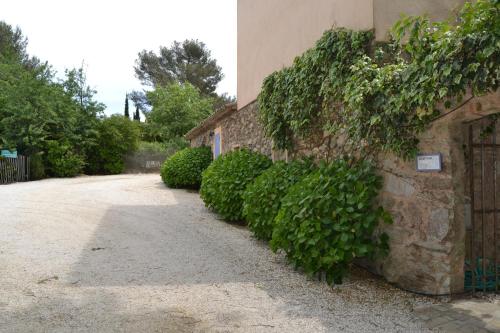 a building with green ivy on the side of a road at Le Mazet des Mûres in Grimaud