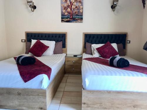 2 nebeneinander sitzende Betten in einem Schlafzimmer in der Unterkunft Sahara Pyramids Hotel 
