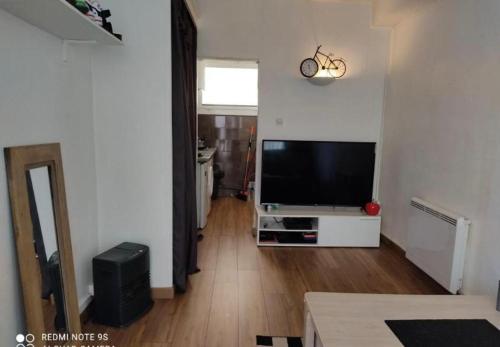 een woonkamer met een flatscreen-tv in een kamer bij Studio au Front de la Mer in Canet-en-Roussillon