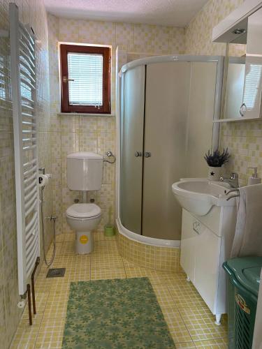 a bathroom with a shower and a toilet and a sink at Muzur Apartment in Sarajevo