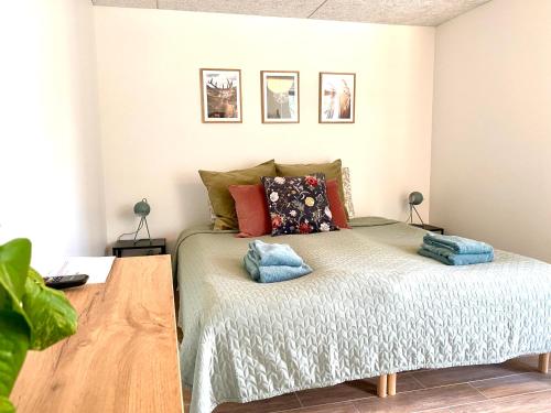 a bedroom with a bed with pillows on it at Bøgelund Sleep-in in Karup