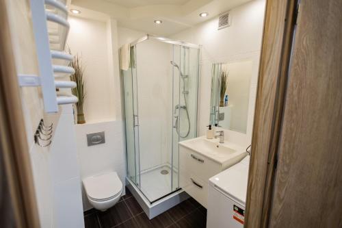 uma casa de banho com um chuveiro, um WC e um lavatório. em Apartament Verde em Toruń