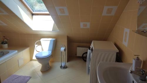 a bathroom with a toilet and a sink and a skylight at Ubytování Carmen in Česká Skalice