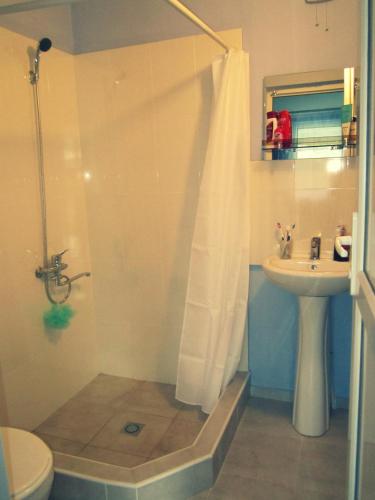 a bathroom with a shower with a sink and a toilet at The Kiwi House in Lagodekhi