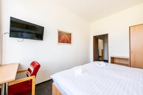 a bedroom with a bed and a flat screen tv at HOTEL AGRI in Soběšice