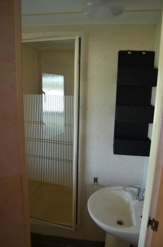 W łazience znajduje się umywalka i przeszklony prysznic. w obiekcie Mobilheim 16 a 17 - Výrovická přehrada Výr w mieście Výrovice