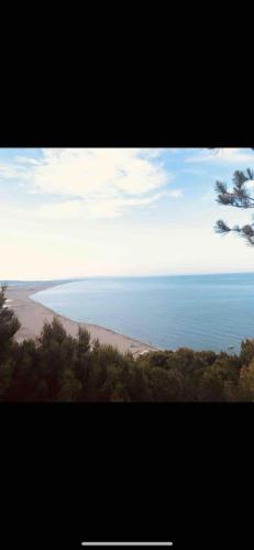 Résidence la palmeraie Piscine & SPA pour 4 personnes NEW YORK