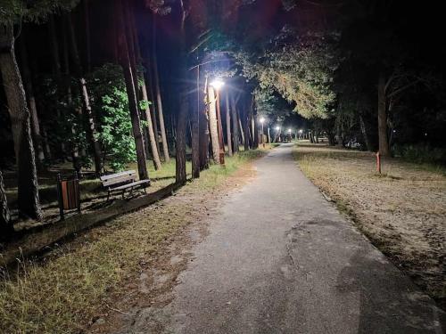 a path in a park at night with street lights at Domek nad jeziorem - Białka in Białka