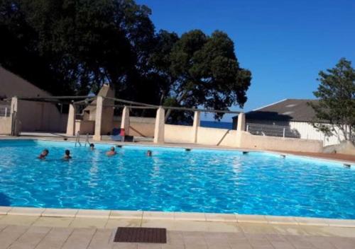 un groupe de personnes dans une piscine dans l'établissement maison climatisée 150 m de la mer, à Santa-Maria-Poggio