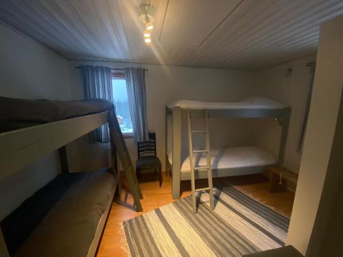 a small room with two bunk beds and a window at Fjällgården Grövelsjön Vandrarhemsrum Töfsingdalen in Idre
