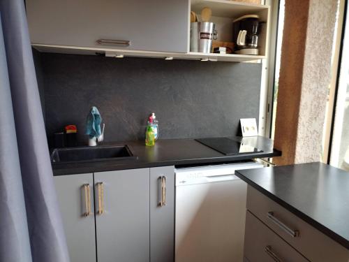 une cuisine avec un évier et un plan de travail dans l'établissement Résidence Marina Soleil Bleu, au Barcarès