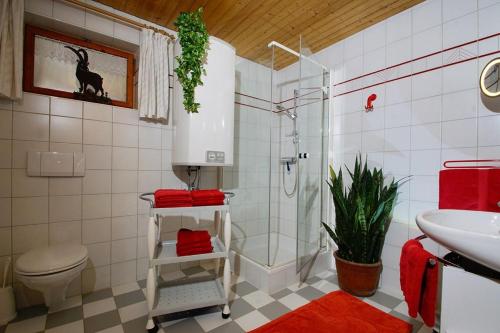 a bathroom with a shower and a toilet and a sink at Ferienwohnung Amann in Vandans