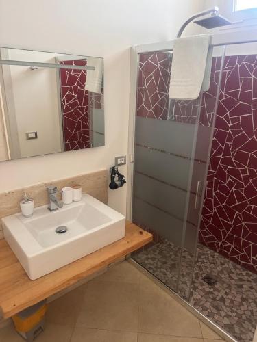 ein Bad mit einem Waschbecken und einer Dusche in der Unterkunft Percebes Exclusive B&B in Cutrofiano
