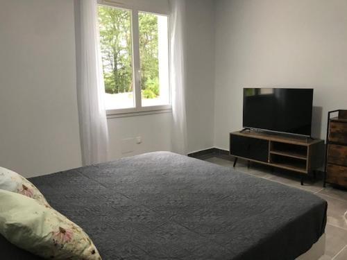 VILLA DES PINS – Photos 5