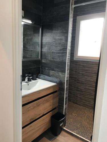 La salle de bains est pourvue d'un lavabo, d'une douche et d'une fenêtre. dans l'établissement VILLA DES PINS, à Cazaubon
