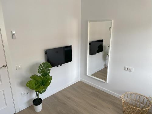 Habitación blanca con espejo y maceta en Estudio al lado de la playa, en Calafell