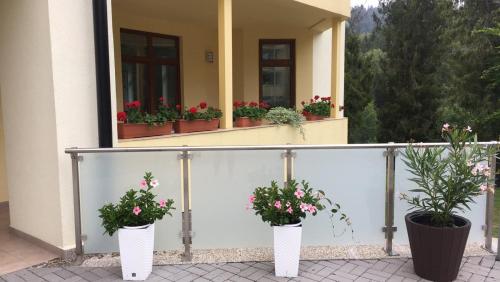 a building with three potted plants on a balcony at Penzión Probstner in Nová ľubovňa