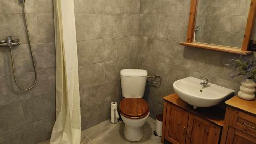 a bathroom with a toilet and a sink at Hobití doupě in Stražisko