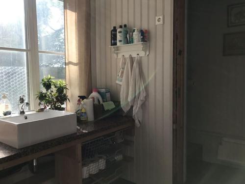 ein Bad mit einem weißen Waschbecken und einem Fenster in der Unterkunft Little Red School House in Töfsala