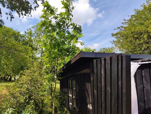 a black out house with a tree behind it at Under Canvas Bornholm in Østermarie