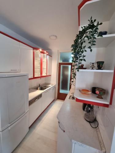 eine Küche mit weißen Schränken und einer Pflanze auf der Theke in der Unterkunft Drago Apartman in Šibenik