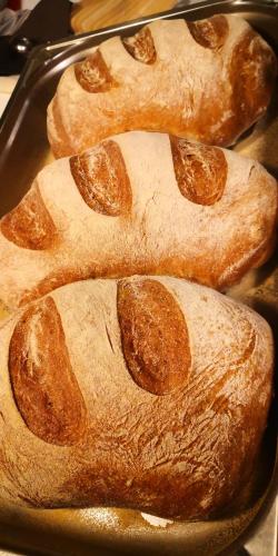 three loaves of bread sitting on a pan at Millaenya Inn in Entratico