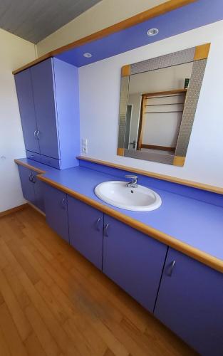 une salle de bain avec un lavabo et un miroir dans l'établissement Grand appartement de 4 Chambres moderne et lumineux, entièrement meublé, à Belfort