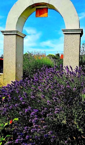 an arch over a field of purple flowers at Dreamly Suites in Oslip